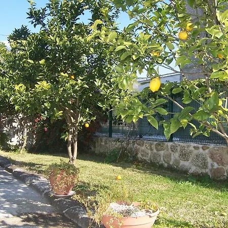 Casa Da Luz Amares